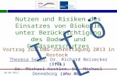 09.09.2013 Nutzen und Risiken des Einsatzes von Biokohle unter Berücksichtigung des Boden- und Gewässerschutzes Vortrag zur DBG-Jahrestagung 2013 in Rostock.