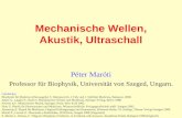Mechanische Wellen, Akustik, Ultraschall Péter Maróti Professor für Biophysik, Universität von Szeged, Ungarn. Lehrbücher: Biophysik für Mediziner (Herausgeber.