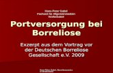Hans-Peter Gabel, Borreliosezentrum Wolfenbütel Portversorgung bei Borreliose Exzerpt aus dem Vortrag vor der Deutschen Borreliose Gesellschaft e.V. 2009.