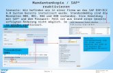 Mandantenkopie / SAP* reaktivieren Seite 1 Arbeitsprobe Uwe Hauck 22.11. 2015 Systemanmeldung T5689321 Szenario: Wir befinden uns in einer Firma wo das.
