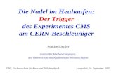 Manfred Jeitler, HEPHY Wien Der CMS Trigger FAKT Langenlois, 24. September 2007 1 Die Nadel im Heuhaufen: Der Trigger des Experimentes CMS am CERN-Beschleuniger.