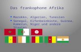 Das frankophone Afrika Marokko, Algerien, Tunesien Senegal, Elfenbeinküste, Guinea, Kamerun, Niger und andere Staaten.