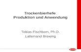 Trockenbierhefe Produktion und Anwendung Tobias Fischborn, Ph.D. Lallemand Brewing.