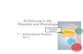 Artikulations-prozess Einführung in die Phonetik und Phonologie   Artikulations-Prozess: Teil 1.
