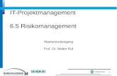 IT-Projektmanagement 6.5 Risikomanagement Masterstudiengang Prof. Dr. Walter Ruf 1.