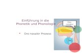 Oro-nasalerProzess Einführung in die Phonetik und Phonologie   Oro-nasaler Prozess.