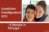 6 Monate in Portugal - Europäischer Freiwilligendienst (EFD) EFD IN PORTUGAL 2014