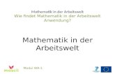 Mathematik in der Arbeitswelt Wie findet Mathematik in der Arbeitswelt Anwendung? Mathematik in der Arbeitswelt Modul WA-1.