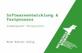 Softwareentwicklung & Testprozess Anne Katrin Salig Schwerpunkt Testprozess.