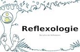Reflexologie Die Lehre der Reflexzonen. Reflexzonen sind: Nervenpunkte in Verbindung mit bestimmten Körperstellen am ganzen Körper  Fuß  Hand  Zunge.