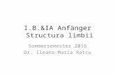 I.B.&IA Anfänger Structura limbii Sommersemester 2016 Dr. Ileana-Maria Ratcu.