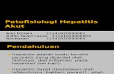 Patofisiologi Hepatitis Akut Anis