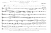 Mahler, Gustav - Nun Will Die Sonn' So Hell Aufgeh'n - 2 Trompetas, Flugel, 2 Cornos, 2 Trombones y Tuba - Particelas