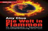 Amy Chua – Die Welt in Flammen
