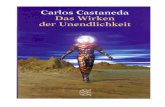 Carlos Castaneda-Das Wirken Der Unendlichkeit