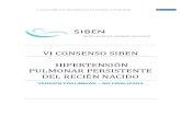 VI Consenso HPPRN SIBEN