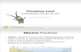 Biologi Laut - Plankton Laut