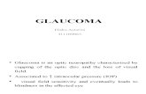 Glaucoma Diska