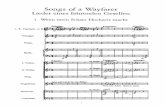-Mahler - Lieder Eines Fahrenden Gesellen Orch. Score