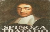 Spinoza,Baruch Tratado Politico