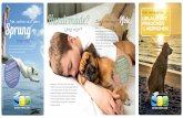 OstseeFerienLand Hundeflyer - Urlaub mit Hund und Herrchen
