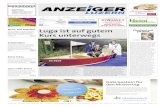 Anzeiger Luzern 17 / 29.04.2015