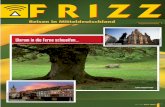 Frizz Reise 0515