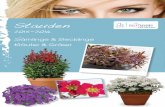 Perennials 2015-2016 DTS catalogue Florensis