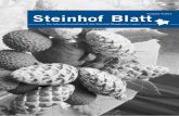Steinhof-Blatt 4/15