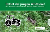 Stiftung Wildtiere Aargau - Rettet die jungen Wildtiere