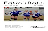 Ahlhorner SV - Faustball Programmheft 1-2016