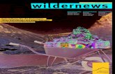 Wildernews 68
