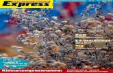 Marburger Magazin Express 13/2016