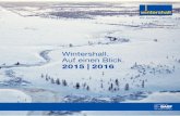 Wintershall auf einen Blick 2015 | 2016 (Deutsch)