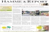 Hamme Report vom 19.06.2016