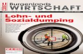 Burgenlands Wirtschaft Ausgabe 7/8 2016