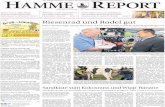 Hamme Report vom 10.07.2016