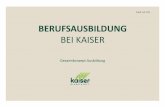 Kaiser Ausbildungs-Gesamtkonzept (Download)
