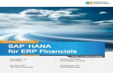 SAP® HANA für ERP Financials