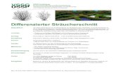 160725_Ku_Strauecherschn-Ausschreibcor1 [PDF, 1.01 MB]
