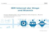 Bluemix und das Internet der Dinge