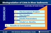 Biodegradation of CAHs in River Sediments