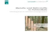 Studie: Metalle und Nährstoffe in Fichtenholz