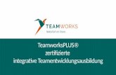 Ausbildung integrative Teamentwicklung Teamcoaching Teamleitung
