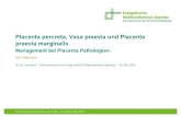Placenta percreta, Vasa praevia und Placenta praevia marginalis ...