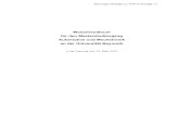 Modulhandbuch für den Masterstudiengang Automotive und ...