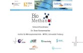 BioMethanol – Nachhaltige Synthese des Energieträgers Methanol ...