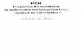 Page 1 PCR (Polymeruse Kettenreuktion) im medizinischen und ...