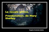 Novela gótica. Frankenstein