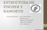 Estructuras de-fischer-y-haworth-1